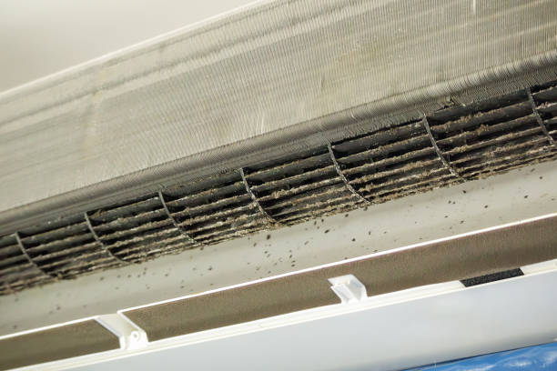 Best Dryer Vent Cleaning Services  in Johnstown, PA